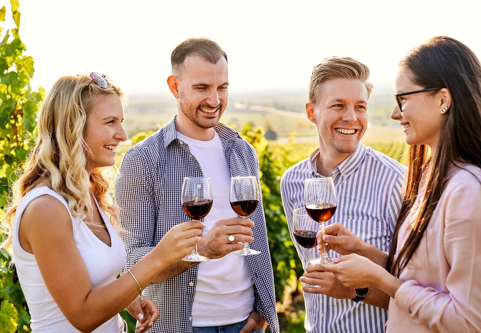 Four friends smiling with glasses of red wine in a sunny vineyard