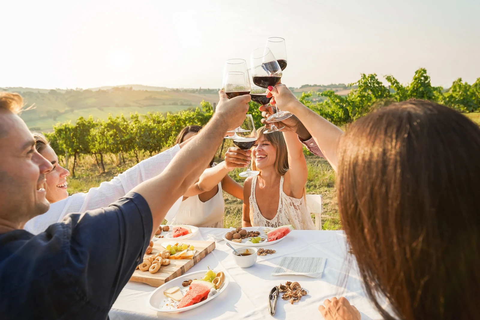 Friends raising red wine glasses over lunch at a vineyard table