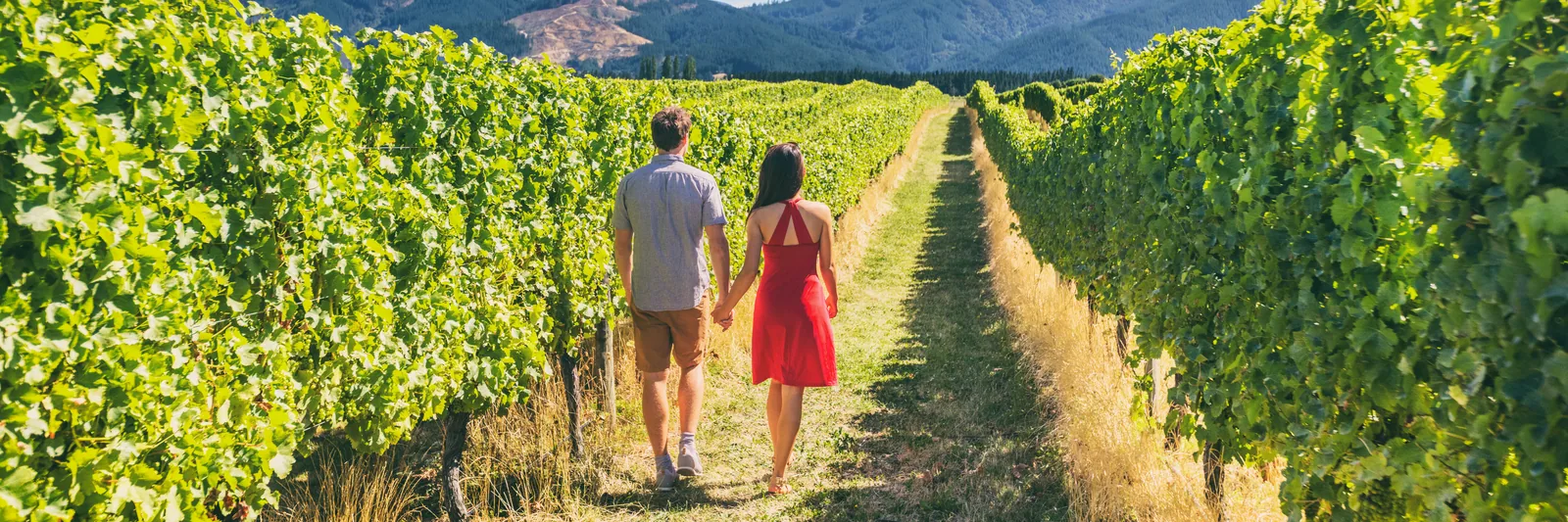 Couple walking hand in hand between rows of vines
