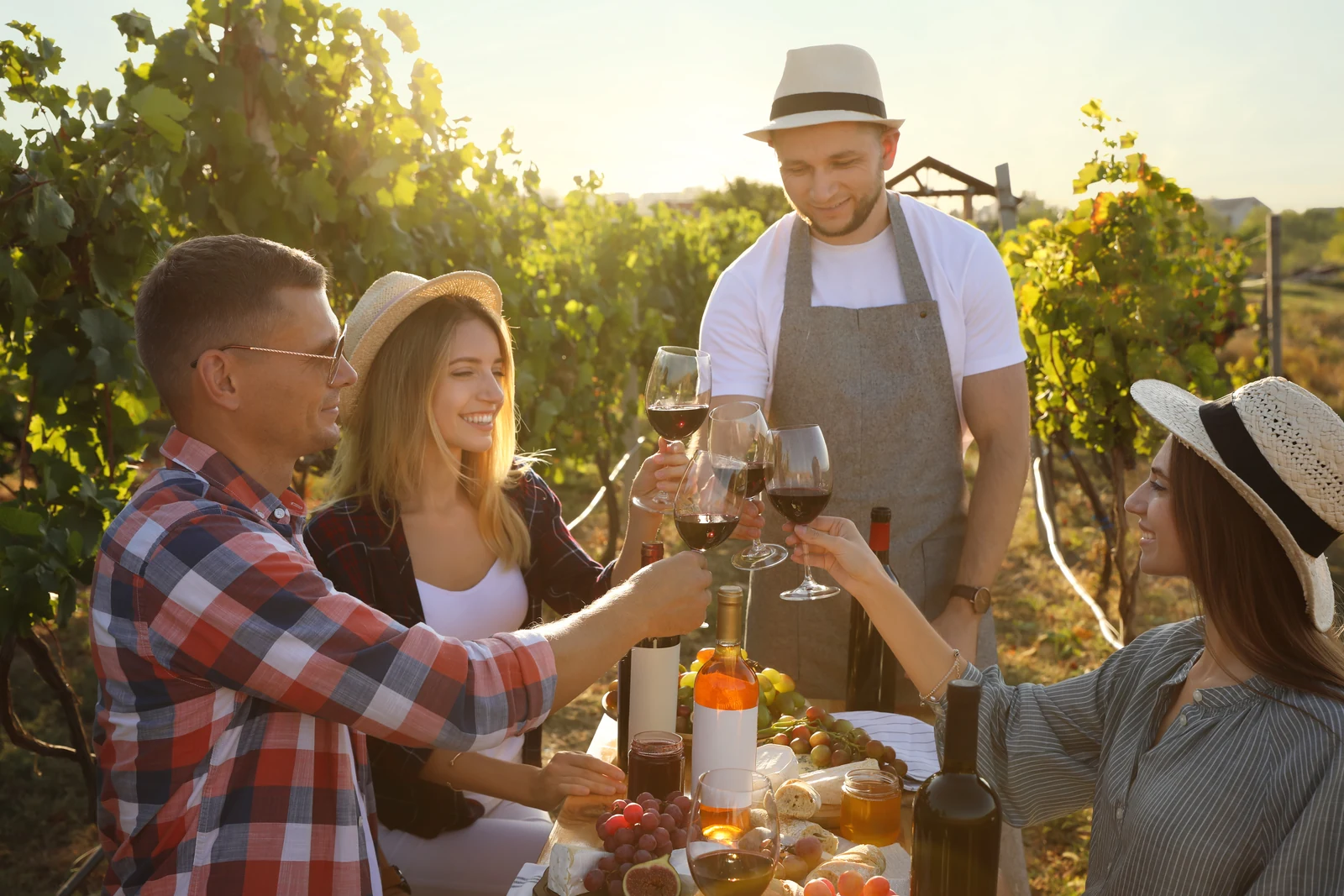 Friends toasting with a winemaker at a table among the vines