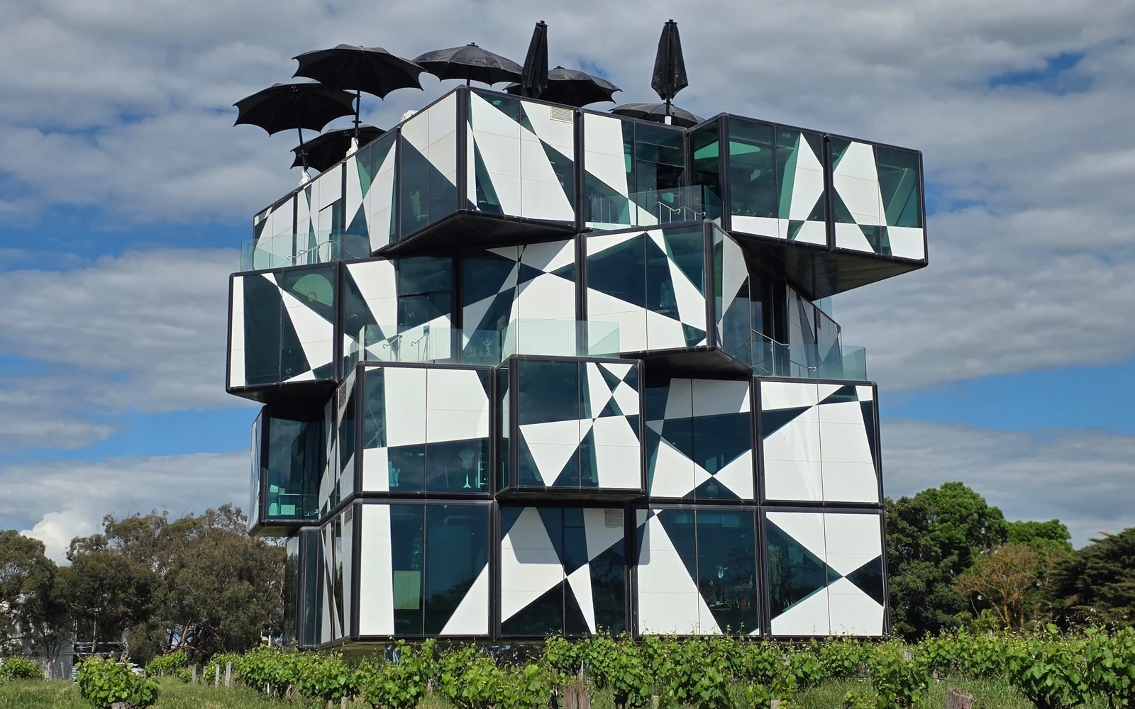 The d'Arenberg Cube cellar door rising above rows of spring vines in McLaren Vale, South Australia