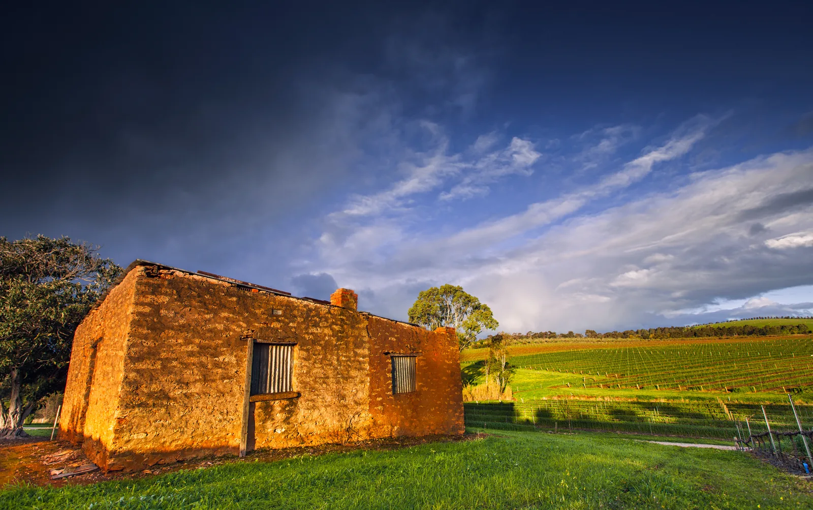 Historic sandstone cottage among vineyards in the Clare Valley, South Australia